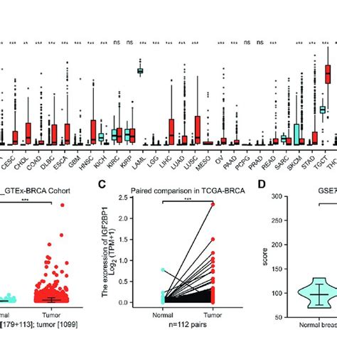 Relationship Between Igf2bp1 Expression And Histologic And Molecular