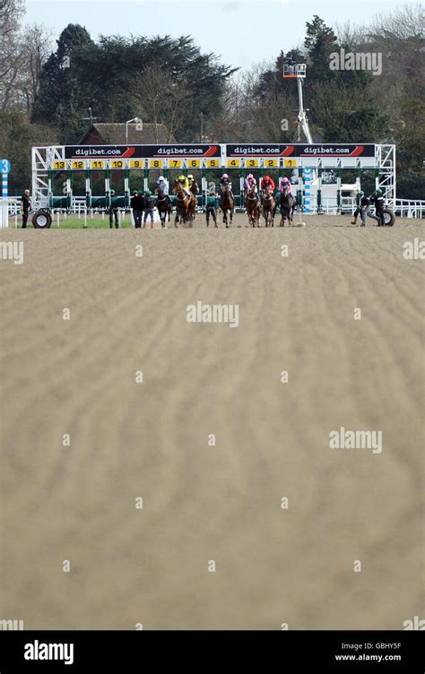 Horse Racing - Kempton Park Racecourse Stock Photo - Alamy