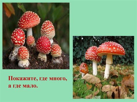 Мало- много, один – много, столько же - презентация онлайн