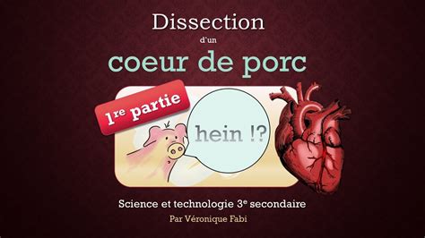 Dissection Du Coeur De Porc Partie De Youtube