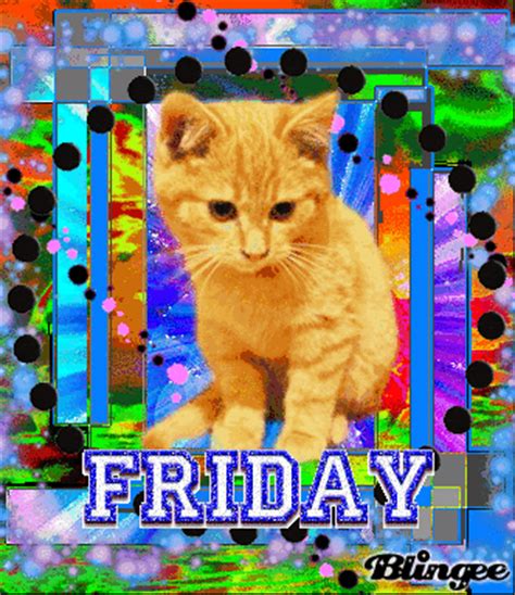 Friday Cat Picture #126372204 | Blingee.com