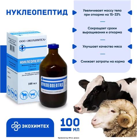 Чем кормить телят для быстрого роста: стимуляторы, описание и ...