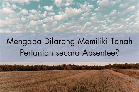 Mengapa Dilarang Memiliki Tanah Pertanian Secara Absentee