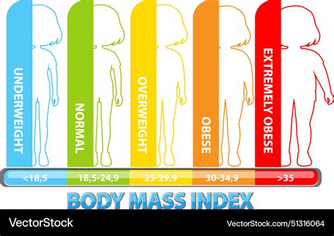 Visual representation of bmi categories Royalty Free Vector