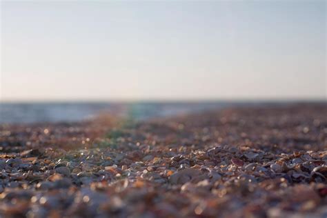 Seashell Beach Nudes Beach Nude Pics Org