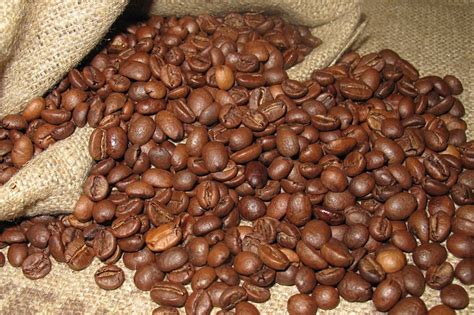 Knowing the Different Varieties of Coffee Beans - Food Corner