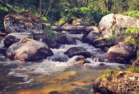 Flowing Water On The River Free Stock Photo Public Domain Pictures