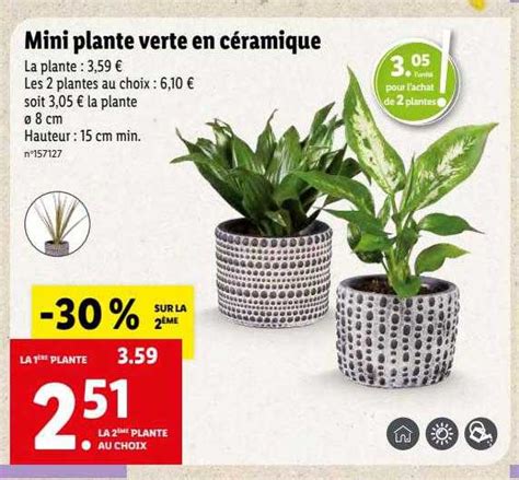 Promo Mini Plante Verte En C Ramique Chez Lidl Icatalogue Fr