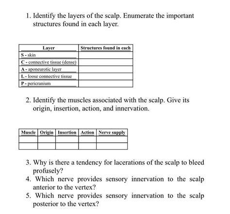 Solved 1. Identify the layers of the scalp. Enumerate the | Chegg.com