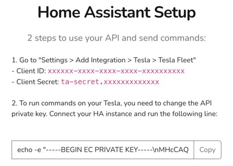 Easy Tesla Setup On Home Assistant 2025 Myteslamate