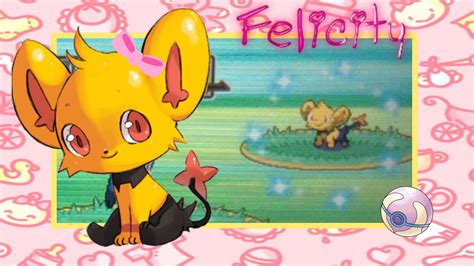 Live Shiny Felicity Shinx After 6 375 REs In Platinum YouTube