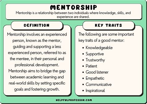 30 Mentorship Examples 2025