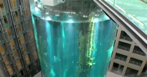 Aquarium Holding 1500 Fish Bursts In Berlin Hotel Cbs News