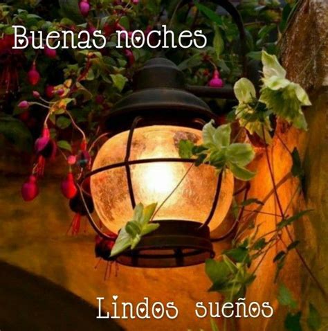 Pin By Rosa Ana On Buenas Noches In Lantern Lights Lantern Lamp