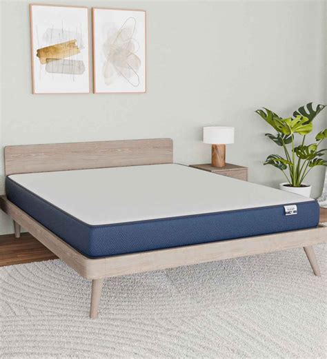 Buy Plus Orthopedic 6 Inch Pu And Memory Foam Queen Size Mattress At 27