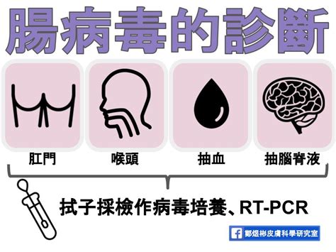 腸病毒感染懶人包：十二張圖表迅速了解腸病毒的所有重點 鄭煜彬的皮膚科學研究室