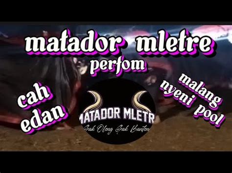 Bantengan Matador Mletre Perfom Jogetan Full Saweran Cah Edan Malang