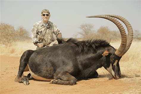 Bowhunting Gallery South Africa - Dries Visser Safaris