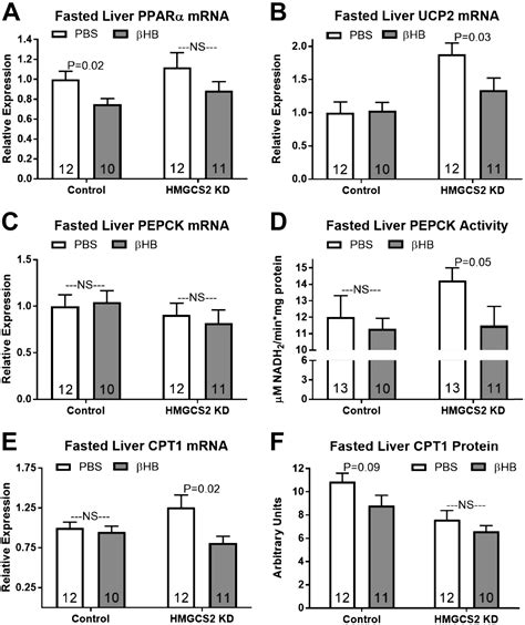 Role Of Ketone Signaling In The Hepatic Response To Fasting American