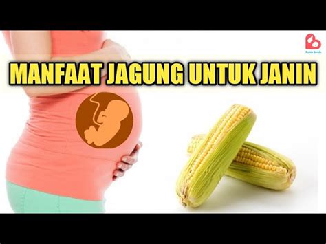 Temukan 7 Manfaat Jagung Untuk Ibu Hamil Yang Bikin Kamu Penasaran