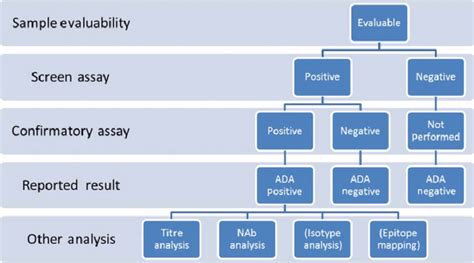 Typical Tiered Testing Scheme For Anti Drug Antibody Ada Testing And Download Scientific