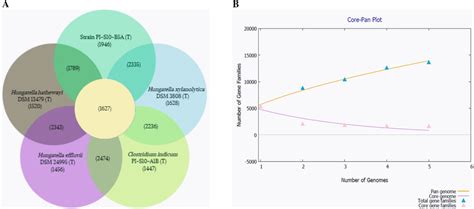 Pan Genome Analysis Of Strain Pi S B At And Close Relatives A Venn