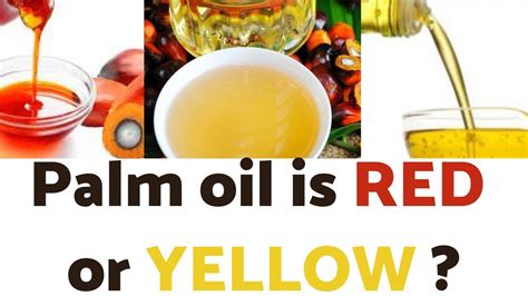 Red Palm Oil Vs Palm Oil Is Palm Oil Red Or Yellow In Colour Youtube