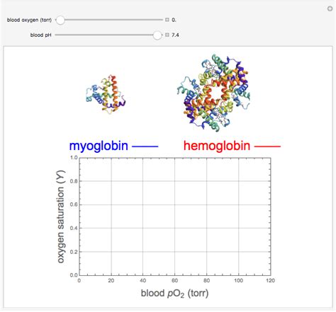 Oxygen Transport by Hemoglobin and Myoglobin - Wolfram Demonstrations ...