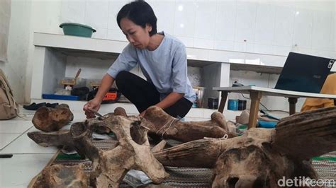 museum purbakala patiayam kudus diperluas koleksi  gudang siap dipajang