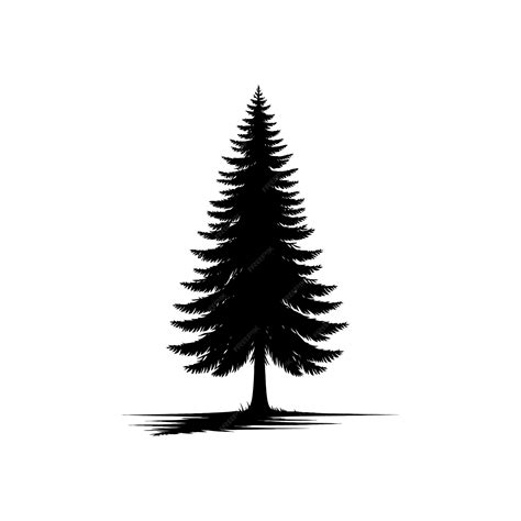 Premium Vector A Black And White Drawing Of A Pine Tree Silhouette