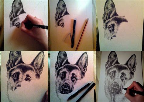 The making of Max, my lovely German Shepherd, A4 pencil drawing Pencil Drawings, Artsy, Tattoos