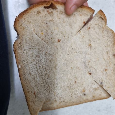 계란빵