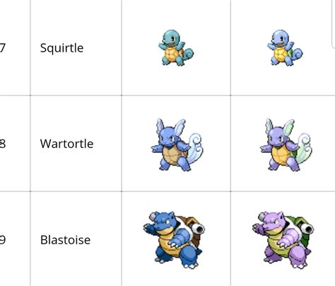 Pokemon Blastoise Evolution Chart