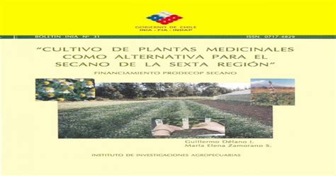 Cultivo De Plantas Medicinales Como Alternativa Pdf Document