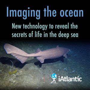 Iatlantic Health Of Deep Sea And Open Ocean Ecosystems Research