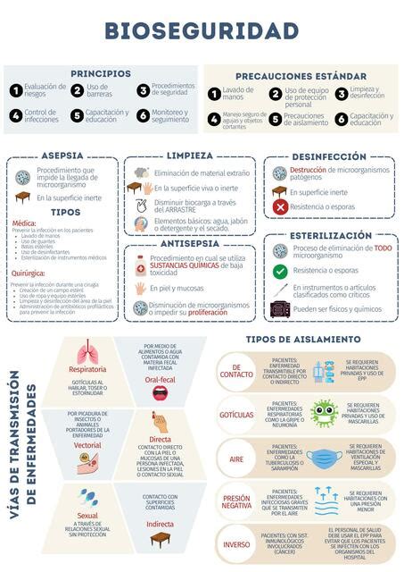 Bioseguridad Lau Maber UDocz