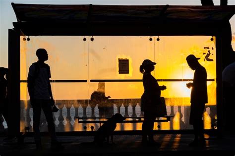 Premium Photo | Silhouette at sunset of tree bus stop and people ...