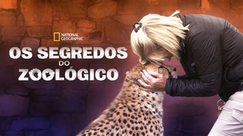 Os Melhores Document Rios Da National Geographic No Disney