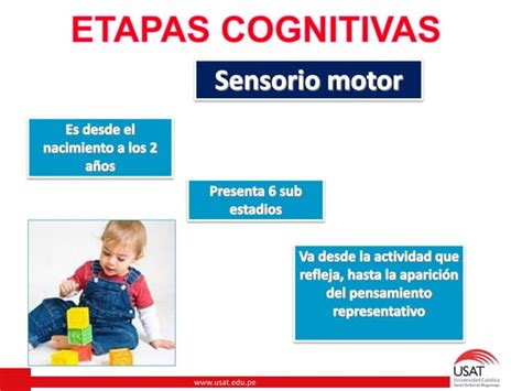 Teoria De Jean Piaget Egocentrismo Y Rabietas