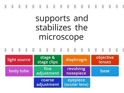 Microscope parts and functions - Teaching resources