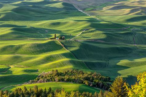 Palouse-from-Steptoe-Butte | North Western Images - photos by Andy Porter