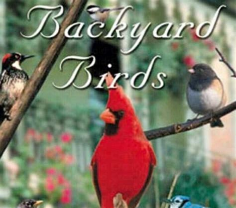 Naturescapes Backyard Birds Cd Bird Songs Best Seller Made In Usa Ebay