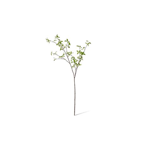 Pittosporum Leaf Branch - 46 x 24 x 142cm | Elme Living | Australia’s