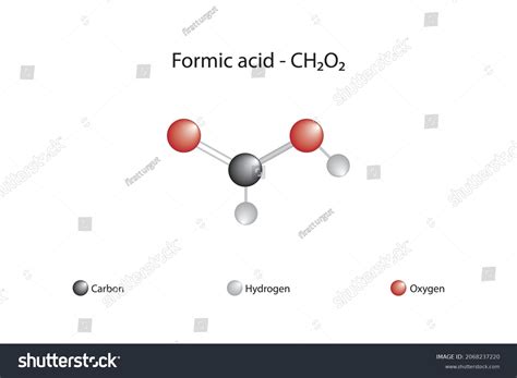 Molecular Formula Formic Acid Formic Acid Stock Vector Royalty Free 2068237220 Shutterstock