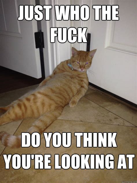 Just Who The Fuck Do You Think You Re Looking At Misc Quickmeme