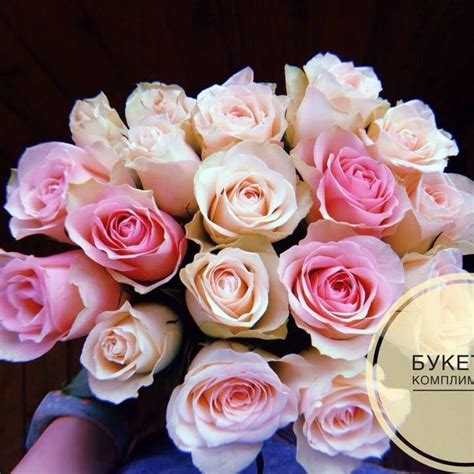 Доставка цветов Владимир | Vladimir