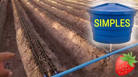 Sistema de irrigação do morango - PASSO A PASSO - YouTube