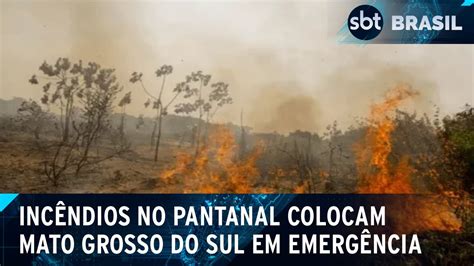 Incêndios no Pantanal Mato Grosso do Sul decreta situação de