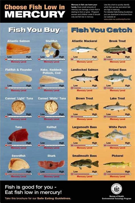 Mercury levels in fish | Survival food, Seafood shop, Low mercury fish