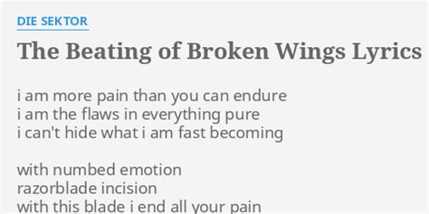 "THE BEATING OF BROKEN WINGS" LYRICS by DIE SEKTOR: i am more pain...